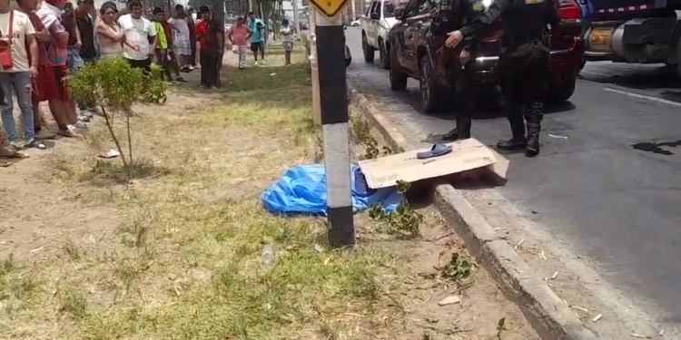 Trágico accidente en la panamericana sur: hombre pierde la vida tras ser arrollado cerca del Álamo