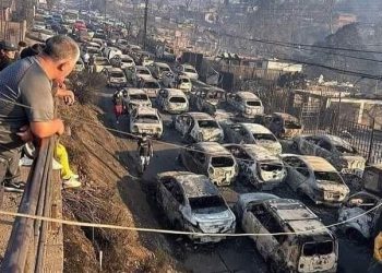 Terrible tragedia en Chile: más de 90 muertos y 3 mil viviendas devoradas por incendio forestal