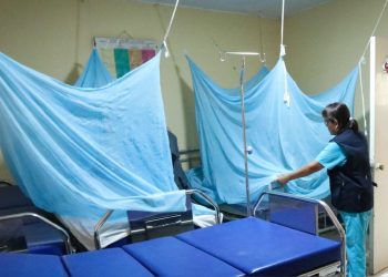 Aumentan los casos de dengue en la región Ica: dos muertes confirmadas