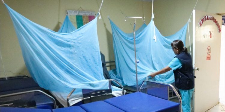 Aumentan los casos de dengue en la región Ica: dos muertes confirmadas