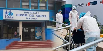 Dos niñas mueren por rabia tras ser mordidas por su gato en Amazonas