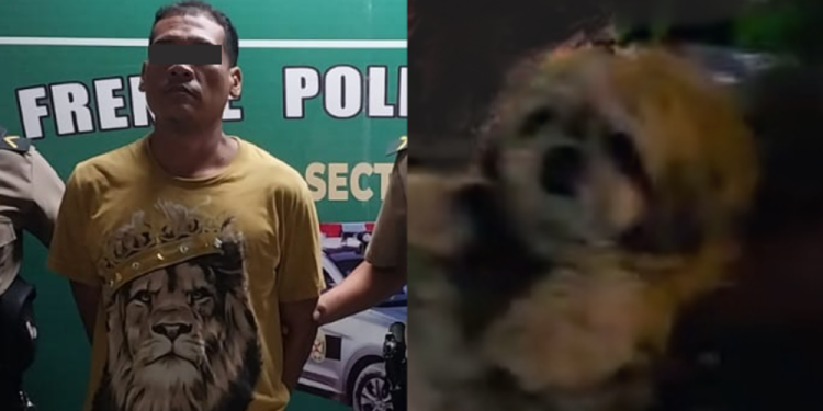 Palpa: Policía detiene a un sujeto que habría hurtado y maltratado a perro