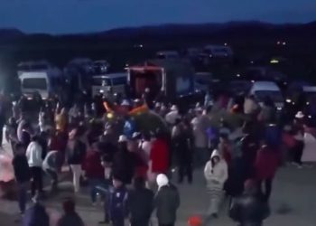 Puno: Hombre muere aplastado por un árbol durante una yunza