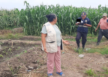Bebé Recién Nacido Abandonado en Chacra de La Libertad