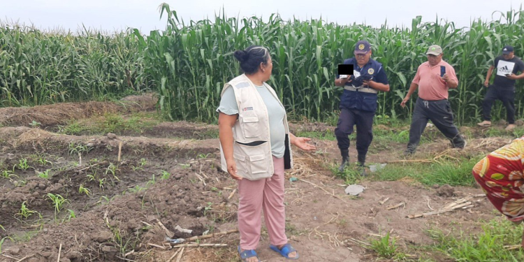 Bebé Recién Nacido Abandonado en Chacra de La Libertad