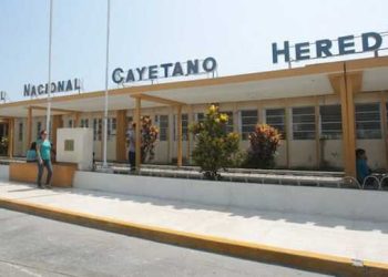 Hombre es mordido por araña «viuda negra» en Ancash