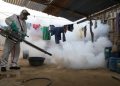 Alerta sanitaria en la región Ica ante el alarmante aumento de casos de dengue