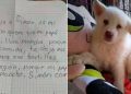 Niño dejó a su perrito en un albergue para que su papá no le pegue