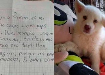 Niño dejó a su perrito en un albergue para que su papá no le pegue