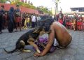 Conmovedor gesto de un perrito durante el Vía Crucis en Guatemala