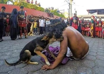 Conmovedor gesto de un perrito durante el Vía Crucis en Guatemala