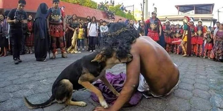 Conmovedor gesto de un perrito durante el Vía Crucis en Guatemala