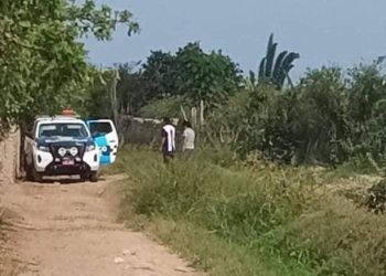 Brutal ataque de perros Rottweiler deja a dos mujeres gravemente heridas en Sunampe