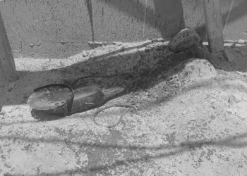 Joven de 19 años fallece en accidente laboral en distribuidora de Chincha