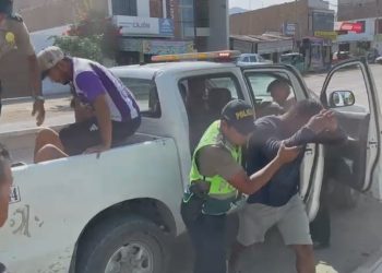 Palpa: Caen ladrones de cerdos, serían integrantes de “Los abigeos de Sacramento”