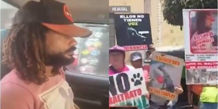 Huaral: Liberan a extranjero acusado de torturar y quemar vivos a perros y gatos