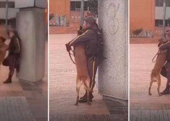 Guardia de seguridad y su perrito se abrazan durante su trabajo: «amor puro»
