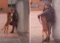 Guardia de seguridad y su perrito se abrazan durante su trabajo: «amor puro»