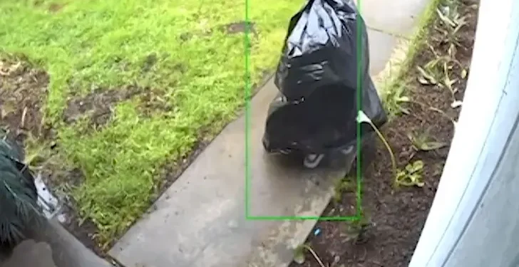 Ladrón se disfrazó como bolsa de basura para robar