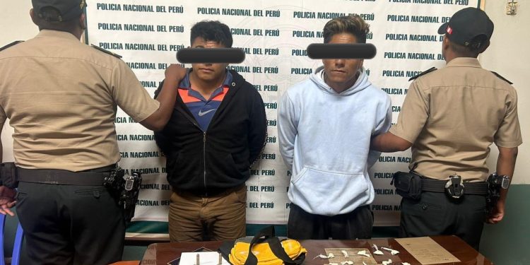 Policía detiene y desarticula banda delictiva «Los Mercenarios de las Violetas» en Chincha