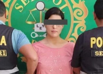 Detenida en Chincha intenta sobornar a Policía con S/. 100