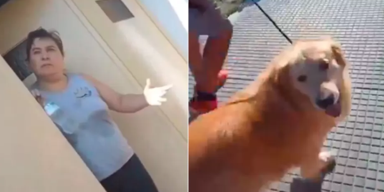 Mujer sorprende al llegar a una carnicería con su perro y pedir que lo sacrifiquen