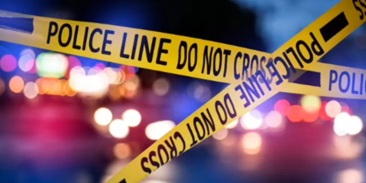 Mujer de 85 años disparó a ladrón para salvar a su hijo con discapacidad