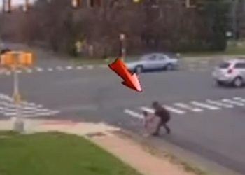 Salvan a niña que corría en medio de los autos