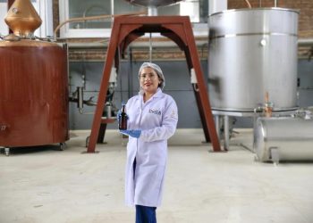 Desarrollan cervezas artesanales y destilados premium a partir de la pitahaya en Ica