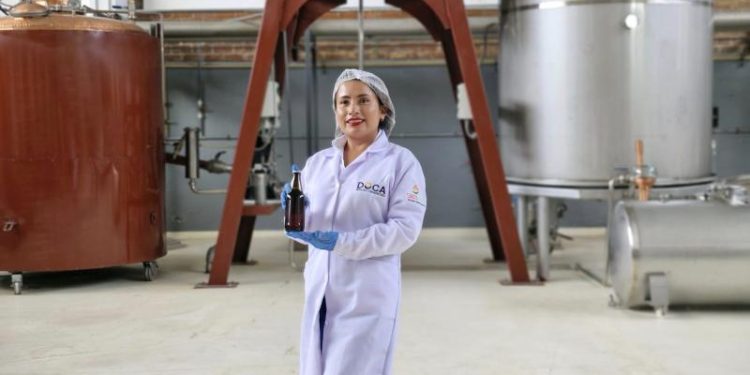 Desarrollan cervezas artesanales y destilados premium a partir de la pitahaya en Ica