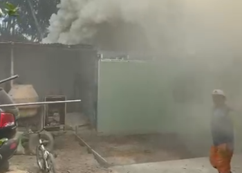 Residentes de la cooperativa Señor de Luren y San Carlos denuncian riesgo de incendios