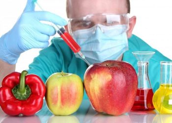 ¡Día Internacional de Oposición a los Alimentos Transgénicos!