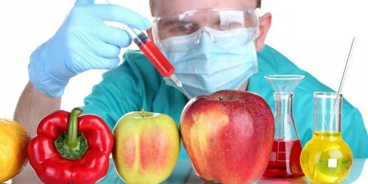 ¡Día Internacional de Oposición a los Alimentos Transgénicos!