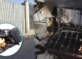 Arequipa: Explosión de celular cobra la vida de una niña de 4 años: sufrió graves quemaduras