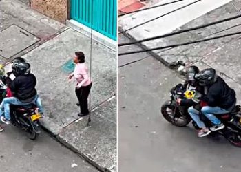 Ladrones arruinan el Día de la Madre de abuelita y le roban hasta el girasol que le regalaron