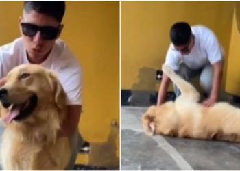 Piero Quispe vuelve a Perú y tiene conmovedor reencuentro con su mascota