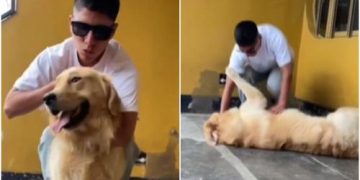 Piero Quispe vuelve a Perú y tiene conmovedor reencuentro con su mascota