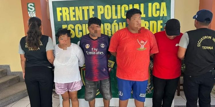 Grupo Terna desbarata a la banda «Los Hechiceros de la Droga»