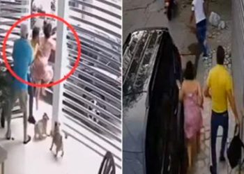 Madre lanza ‘patada voladora’ contra ladrón para evitar asalto a su hijo: «nadie se mete con él»