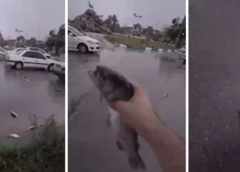 Extraordinaria lluvia de peces sorprende a la población de Irán
