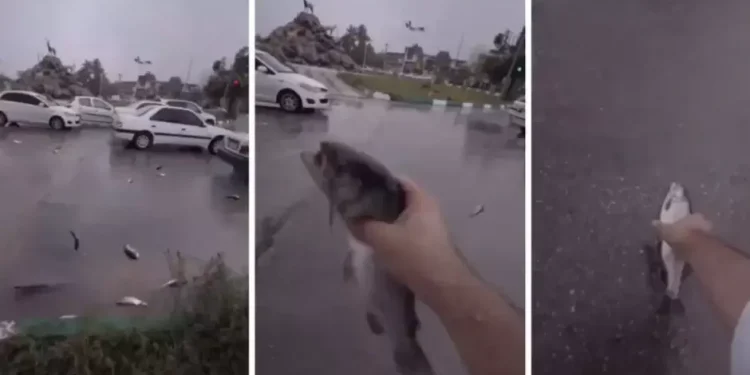 Extraordinaria lluvia de peces sorprende a la población de Irán