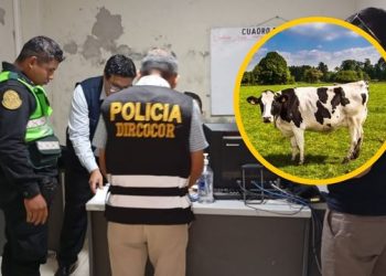Detienen a dos policías por pedir como coima la pierna de una vaca