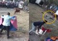 Ayacucho: músico sufre ataque de toro en fiesta patronal