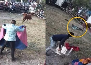 Ayacucho: músico sufre ataque de toro en fiesta patronal