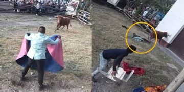 Ayacucho: músico sufre ataque de toro en fiesta patronal