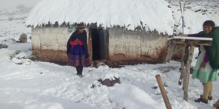 Senamhi emite alerta naranja por bajas temperaturas