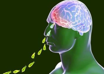 Niño con infección de ameba ‘comecerebros’ en UCI