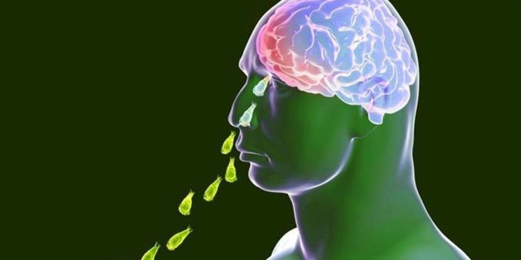 Niño con infección de ameba ‘comecerebros’ en UCI