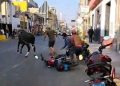 Ica: Vaca escapa y causa caos en plena plaza de armas