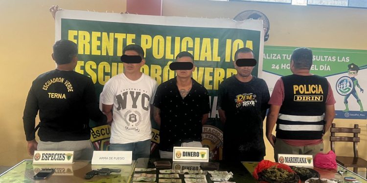 Desarticulan presunta banda criminal «Los Chulos del Sur»